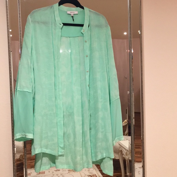 Light green button down tunic - Picture 1 of 5